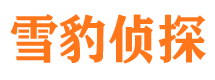 宁安市婚外情调查